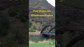 Cute SPARROWS & views at Flam, Norway!