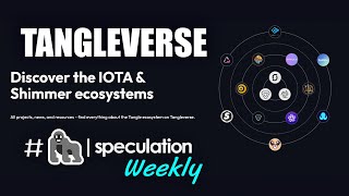 IOTA'S TANGLEVERSE: The project hub for our ecosystem