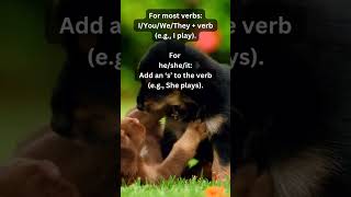 Simple Present Tense - Quick Guide #simplepresent #tense #english #englishgrammar