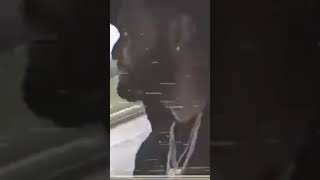 AR Paisley & Sidhu Moose Wala (Freestyle) - G63 OG version