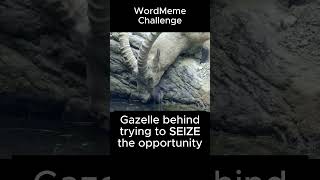 To SEIZE #wordmeme #wordguru #shubhamsir