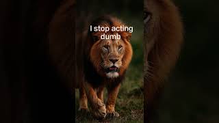 sigma rule 🔥Yes youre better than me until 🔥#motivation #motivationlquotes #shorts