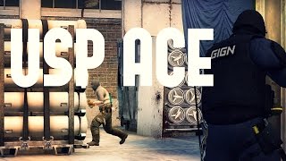 CSGO | USP ACE DASENJI