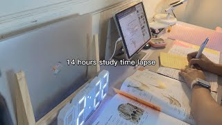 14 hours study time lapse | dmed student