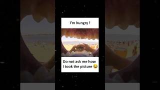 Funniest Memes That Will Make Your Grandma Laugh #meme