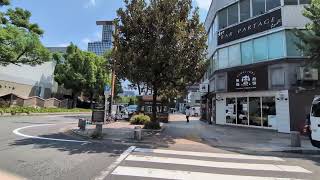 【テスト撮影】Google Pixel 9aで歩き手撮りしてみた