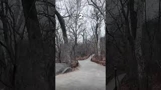 There are lots of parks in the world. Where is this one?