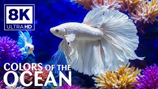 Underwater Paradise 8K 🐳 Colorful Reef Fish & Marine Life - Stress and Anxiety Relief