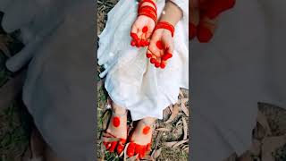 Good night| Everyone |Bhanu Minnal |Status |