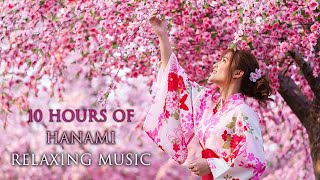 10 Hours of Hanami Relaxing Music, Nice Japanese Music for Sakura Flowers, 432 Hz Instrumental Music