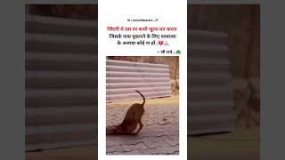 #respect #animals ❤️❤️❤️