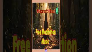 Free Meditation Music-relaxing music  - calming music  - sleep music  -background meditation music-2