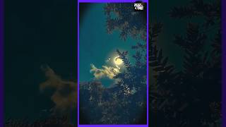 ye raaten ye mausam#foryou #মনেরকথা #shorts #music
