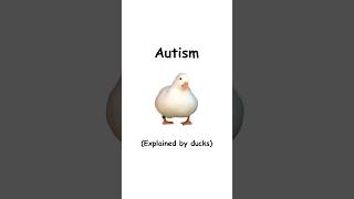 Autism (explained by ducks)