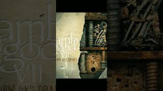 #lambofgod #band #thrashmetal #groovemetal #VII #sturmunddrang #overlord #KNET17🤘🏻😈 #500subs👍🏻