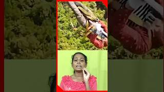 dangerous jobs #jobs #indianjobs #dangerous #facts #malayalam