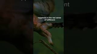 Unveiling the Power of Happiness:#HappinessJourney #SecretsOfLife #yourbestself
