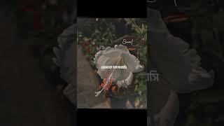 Ovijug Tanveer evan lyrics video.... lofi remix best friend natok song..