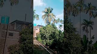 #আকাশেও_অল্প_নীল #arijit_singh_song #bengali_album_song #youtubeshorts