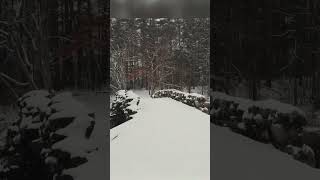 walking through a peaceful snowy forest ❄️ #relaxing