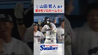 山田哲人選手  第9号ソロホームラン #swallows #山田哲人 #shorts