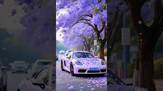 Most beautiful ✨😍 place on Earth 🌿🌍 #nature #travel #beautifulplaces #worldattractions