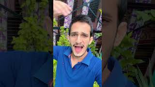 Tare naam liye #song #bollywood #hindisong #music #skydigital #youtubeshorts #shortvideo #shorts