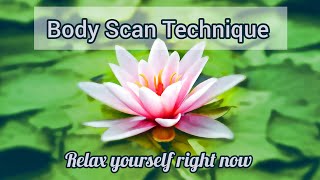 Body Scan Technique| Relaxation & Grounding 🌻🍃| Therapeutic Benefits| Psychology & MORE