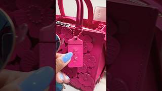 #baglovers #baglover #handbaglover #lvlovers #coachlove #coachbags #louisvuitton #browsing #bags #lv