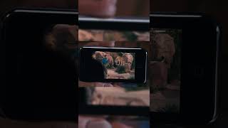 #animalattacks #gruesome #movie #clips #fyp #foryou #thehappening #scenespotlight