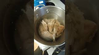 How to cook a raccoon