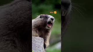 When I call my sister  #trending #sister #newsong #funny