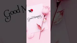 Good morning status with kala chashma music #morning #good morning