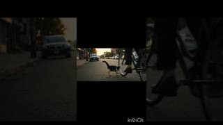 Let’s be kind to cats 😭 #animalstory #CatRescue#AnimalStory#SadVideo#KindBoy#storytelling