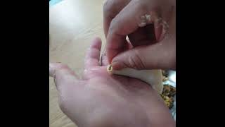 momo folding #dpnepalikitchen #recipe #subscribe #nepalifoodlovers