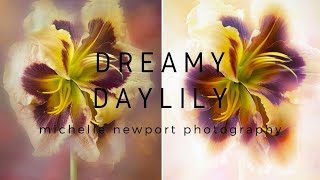Dreamy Daylily | Flower Photography Edit | Photoshop Edit | Luminar Neo Edit