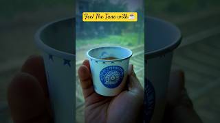 Feel ☕💫😍 #short #love_status_video #emotional_cute #whatsapp_status #nature #whatsapp_status_video