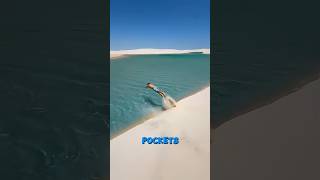 🌴Where is everyone? #shorts #shortsvideo #shortsviral