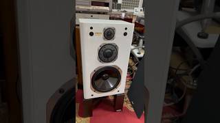 White Yamaha ns 1000x