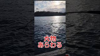 大物ヒットシーン！