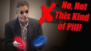 The Pill that Transformed Women - Prof. Jordan Peterson
