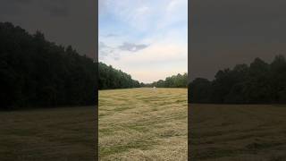 A song for a small town summer #folkmusic #foryou #fyp #summer #folk #fy #originalsong