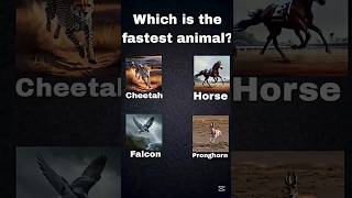 which is the fastest animal in the world? #falcon #quiz #horse #cheetah