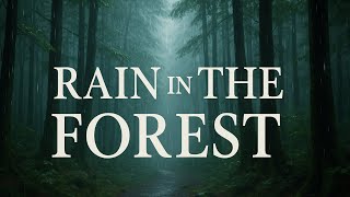 Lluvia suave en el bosque | Sonidos para dormir y relajarte