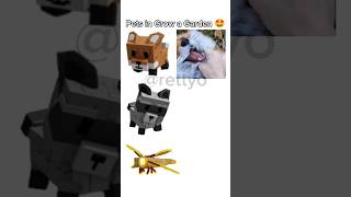 WHO IS THE BEST?!#growagarden #roblox #robloxfyp #robloxgaming #growagardenupdate #growagardenroblox