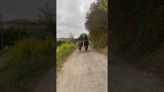 Morning walk in the French countryside #ruralfrance #lifeinfrance
