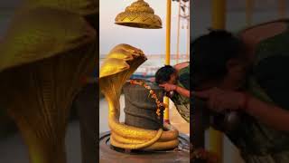 MAHADEV STATUS 4K #harharmahadev #bombhole #bhootnath #shorts #viral #mahadev status