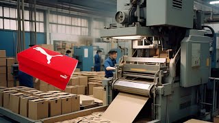 How Tons of Waste Material turns into Shoes Box | Factory Process of Recycling