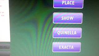 Triple Towers Virtual Horse and Greyhound Racing - Melcom Copeland eGaming Consultant