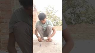 paisa battery expiement shorts #shortvideos #experiment #reaction #magic